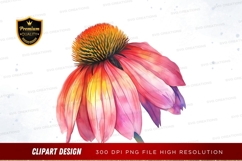 Vibrant coneflower clipart png Product Image 1