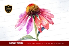 Vibrant pink coneflower clipart png Product Image 1