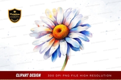 Watercolor daisy flower Product Image 1