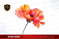 Vibrant poppy flower clipart png Product Image 1
