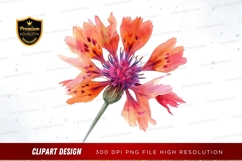 Vibrant flower clipart png Product Image 1