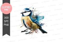Blue tit bird clipart png Product Image 1