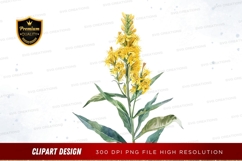 Yellow wildflower clipart png Product Image 1
