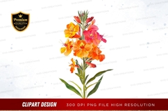 Vibrant flower bouquet clipart png Product Image 1