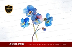 Blue forget-me-not flowers Product Image 1