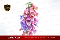 Digital foxglove flowers clipart png Product Image 1