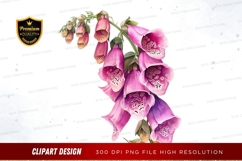 Beautiful foxglove flowers clipart png Product Image 1