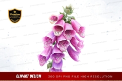 Pink foxglove flowers clipart png Product Image 1