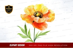 Bright orange poppy flower Product Image 1