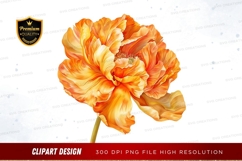 Vibrant orange poppy flower clipart png Product Image 1