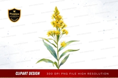 Bright yellow goldenrod flower clipart png Product Image 1