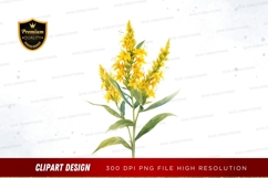 Yellow wildflower clipart png Product Image 1