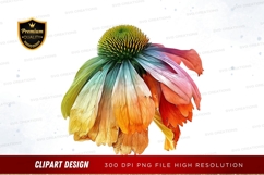 Colorful coneflower clipart png Product Image 1