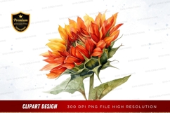Vibrant orange sunflower clipart png Product Image 1