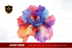Colorful iris flower clipart png Product Image 1