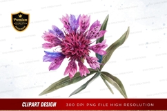 Beautiful pink and purple flower clipart png Product Image 1