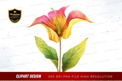 Vibrant flower clipart png Product Image 1