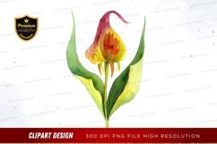 Vibrant flower clipart png Product Image 1