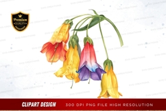 Colorful bell-shaped flowers Product Image 1