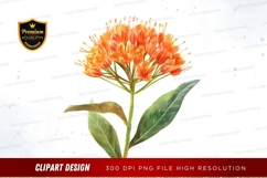 Orange flower clipart png Product Image 1