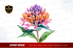 Colorful flower clipart png Product Image 1