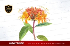 Vibrant orange and red flower clipart png Product Image 1