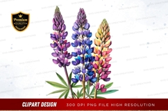 Colorful lupine flowers clipart png Product Image 1