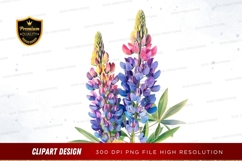 Colorful lupine flowers clipart png Product Image 1