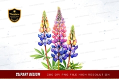 Beautiful lupine flowers Product Image 1