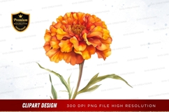 Vibrant orange marigold flower clipart png Product Image 1