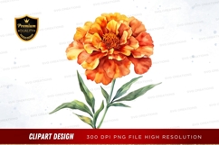 Vibrant orange marigold flower clipart png Product Image 1