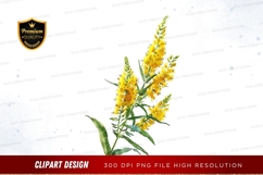 Bright yellow wildflowers clipart png Product Image 1