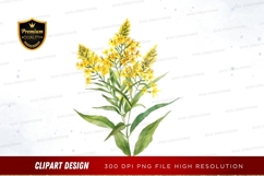 Bright yellow goldenrod flowers clipart png Product Image 1