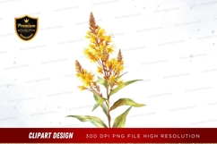 Yellow wildflower clipart png Product Image 1