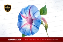 Blue morning glory flower clipart png Product Image 1