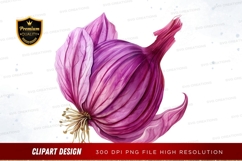 Purple onion clipart png Product Image 1