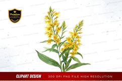 Yellow goldenrod flowers clipart png Product Image 1
