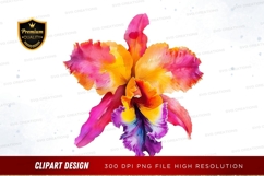 Vibrant orchid flower clipart png Product Image 1