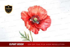 Vibrant red poppy flower clipart png Product Image 1