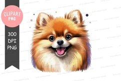 Happy pomeranian puppy Product Image 1