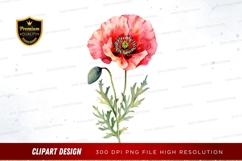 Watercolor poppy flower clipart png Product Image 1