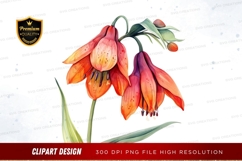 Vibrant orange and purple flowers Product Image 1