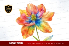 Vibrant rainbow flower clipart png Product Image 1