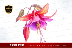 Vibrant fuchsia flower clipart png Product Image 1