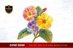 Colorful primroses clipart png Product Image 1