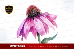 Pink echinacea flower clipart png Product Image 1
