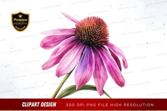 Pink coneflower clipart png Product Image 1