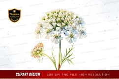 Delicate flower clipart png Product Image 1