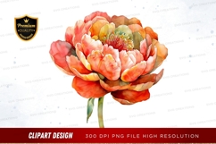 Vibrant peony flower clipart png Product Image 1