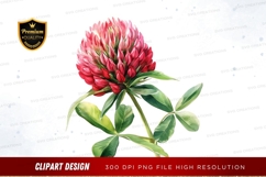 Vibrant red clover flower clipart png Product Image 1